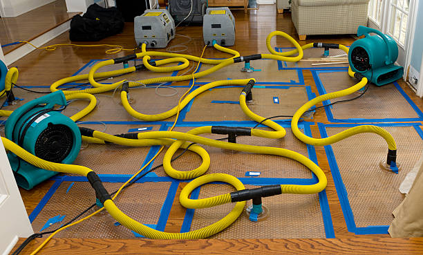 Professional Crawl Space Water Removal technician working in Ronkonkoma, NY